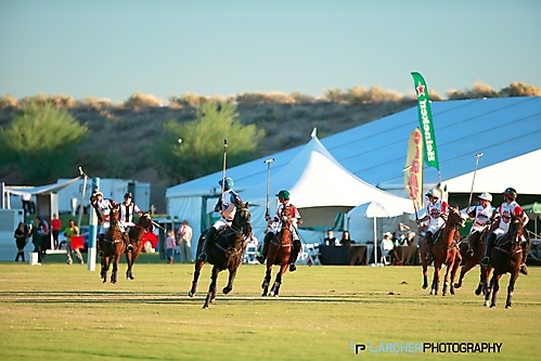 AFM Polo 17