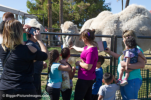 15 IMG_8414