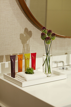 Palomar Phx Etro by John Ellis-small - Copy