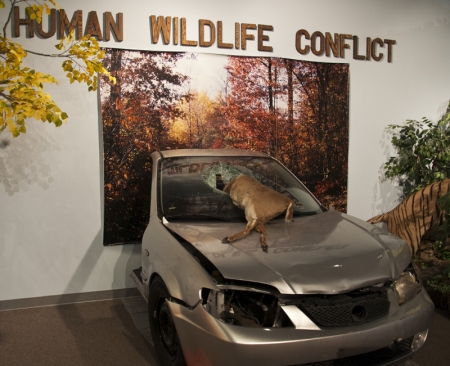 IWM_31