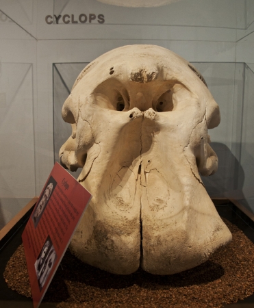 IWM_36