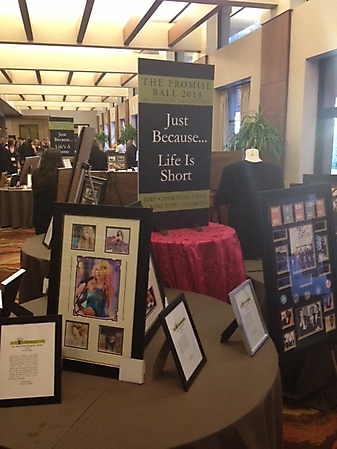 Promise Ball pic- silent auction 2