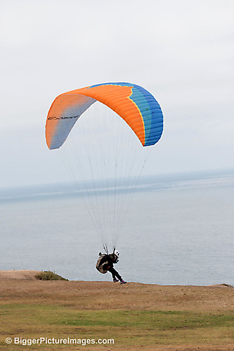 IMG_7134 LR LR