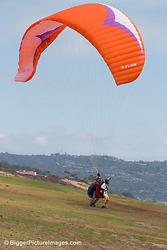 IMG_7183 LR LR