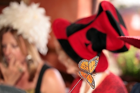 mad-hatter-tea-party-phoenix-2010_37