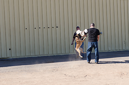 20130112_-7
