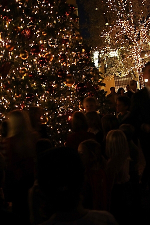 motelucia-tree-lighting-scottsdale-2009_50