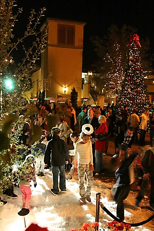 motelucia-tree-lighting-scottsdale-2009_62