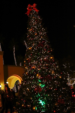 motelucia-tree-lighting-scottsdale-2009_68