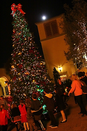 motelucia-tree-lighting-scottsdale-2009_78