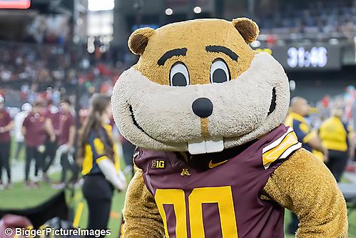 13_IMG_2909-denoise-denoise_1766988959_69521c9f33737