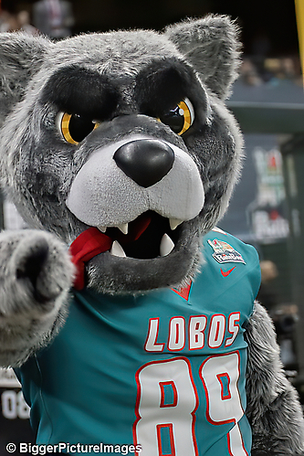 13_IMG_3112-denoise-denoise_1766988960_69521ca00187a