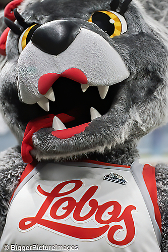 13_IMG_3115-denoise-denoise_1766988960_69521ca0d5bad