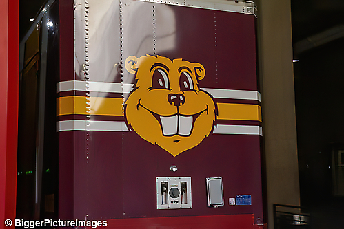 13_IMG_8628-denoise-denoise_1766988961_69521ca1923a7