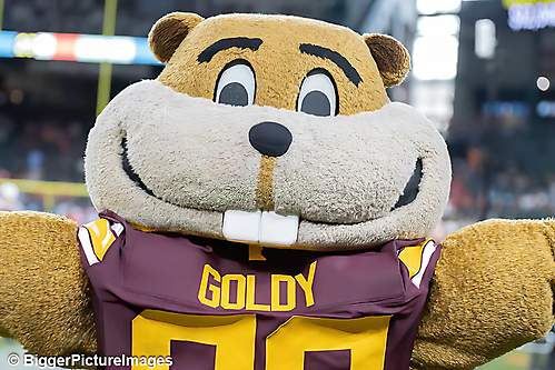 43_IMG_2914-denoise-denoise_1766988992_69521cc0dc11c