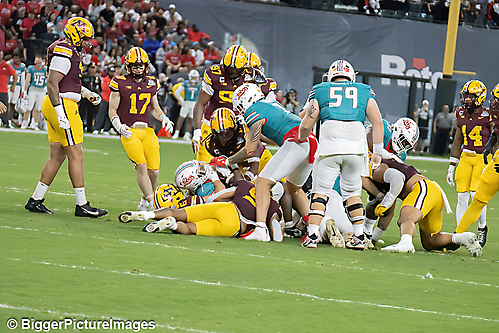 45_IMG_3096-denoise-denoise_1766989000_69521cc85cb77