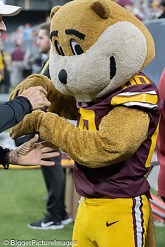 IMG_2908-denoise-denoise_1766989041_69521cf1cc251