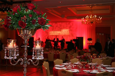 opera-ball-2011
