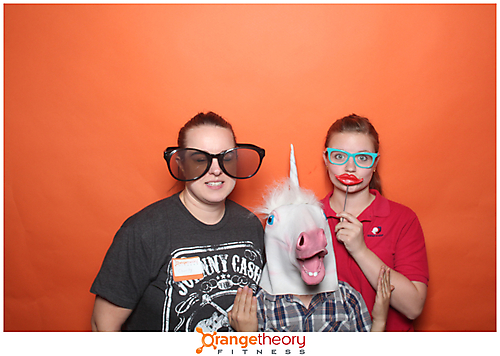 8131q00096 copy