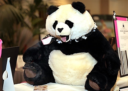 panda-people-20