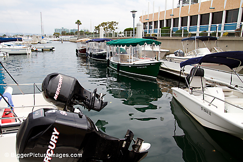 IMG_5098 LR LR