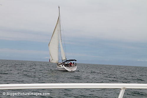 IMG_5121 LR LR