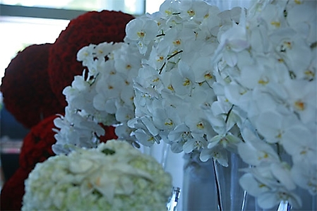 bridal-show-at-the-w-hotel-