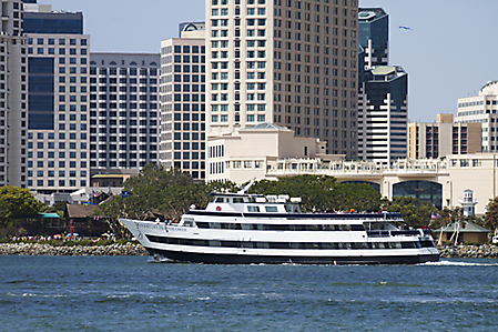 SD5 IMG_3290-2