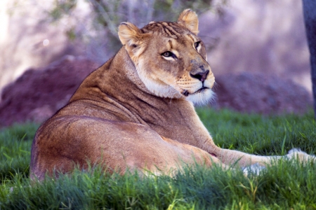 B_IMG_0623 LR