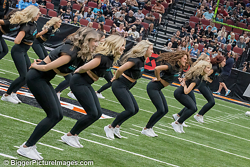 33 IMG_4326-SAI-Motion
