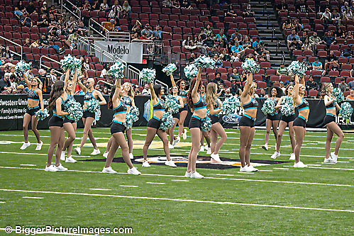 IMG 1 IMG_0428_-SAI-Motion-
