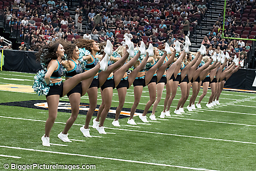 IMG_2199-SAI-Motion