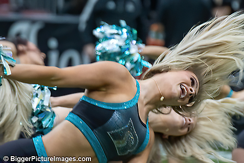 19 IMG_8174-denoise-denoise