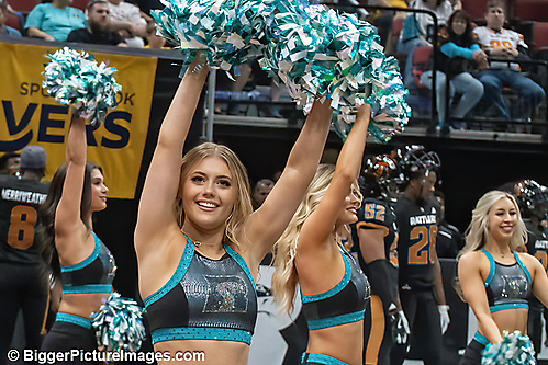24 IMG_8087-denoise-denoise