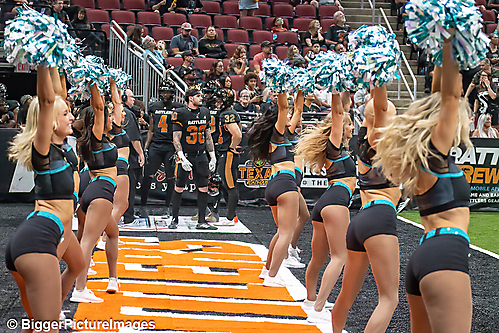 10_IMG_3268-denoise-denoise_1774867008_69ca5240a3efa