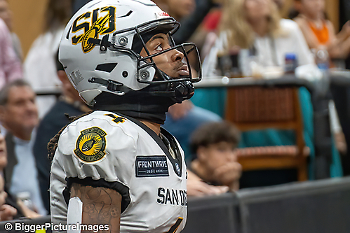 13_IMG_3156-denoise-denoise_1774867010_69ca5242ef30a