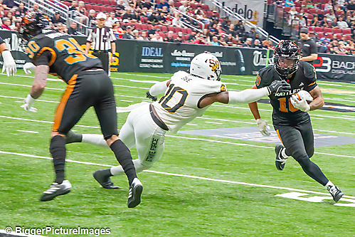 13_IMG_8711-denoise-denoise_1774867014_69ca524693bfc