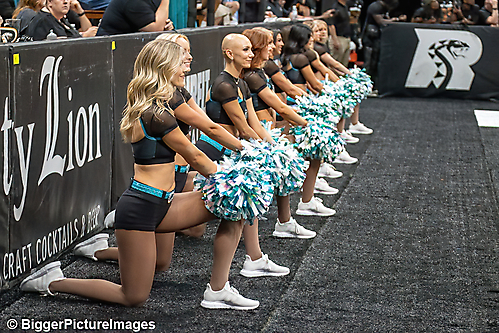 17_IMG_3362-denoise-denoise_1774867016_69ca524851fb0