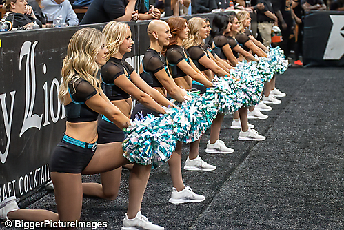 22_IMG_3270-denoise-denoise_1774867023_69ca524f69f40