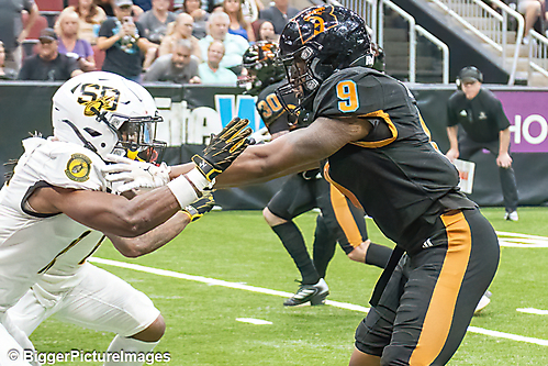 33_IMG_3303-denoise-denoise_1774867035_69ca525b85465