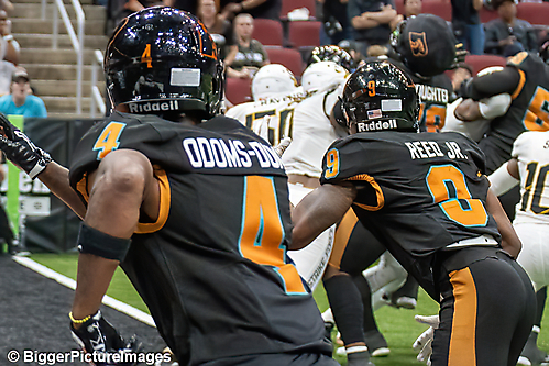 33_IMG_3306-denoise-denoise_1774867036_69ca525c39b0f