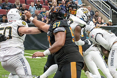 36_IMG_3320-denoise-denoise_1774867039_69ca525f95f11