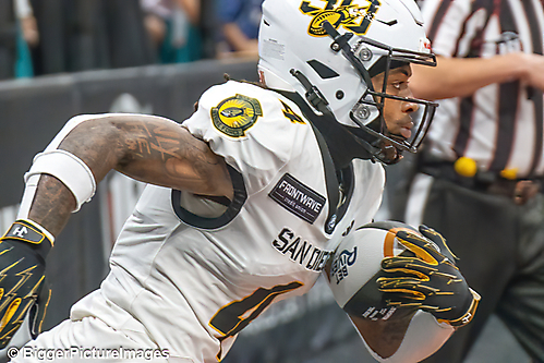 55_IMG_3160-denoise-denoise_1774867046_69ca52663a887