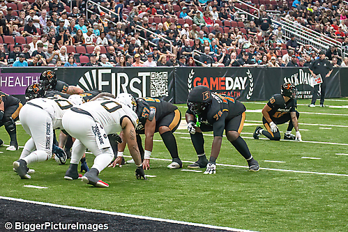 IMG_3134-denoise-denoise_1774867054_69ca526e63c1b