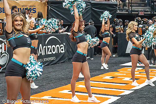 IMG_3146-denoise-denoise_1774867056_69ca52704d9cf