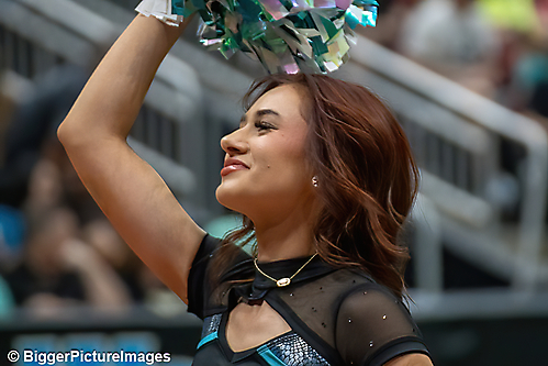 IMG_3185-denoise-denoise_1774867058_69ca527226616