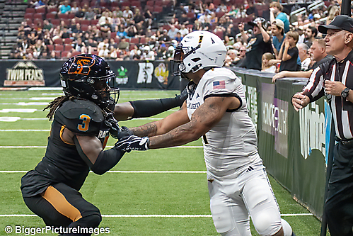 IMG_3219-denoise-denoise_1774867069_69ca527d131ca