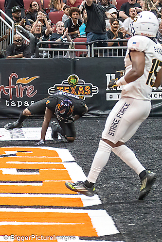 IMG_3287-denoise-denoise_1774867080_69ca5288c7da6