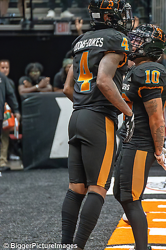 IMG_3294-denoise-denoise_1774867081_69ca52896af86