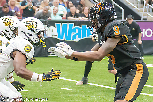 IMG_3302-denoise-denoise_1774867082_69ca528aedcb9